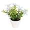 Assorted Micro Premade Flowering Plant, 1pc. by Ashland®